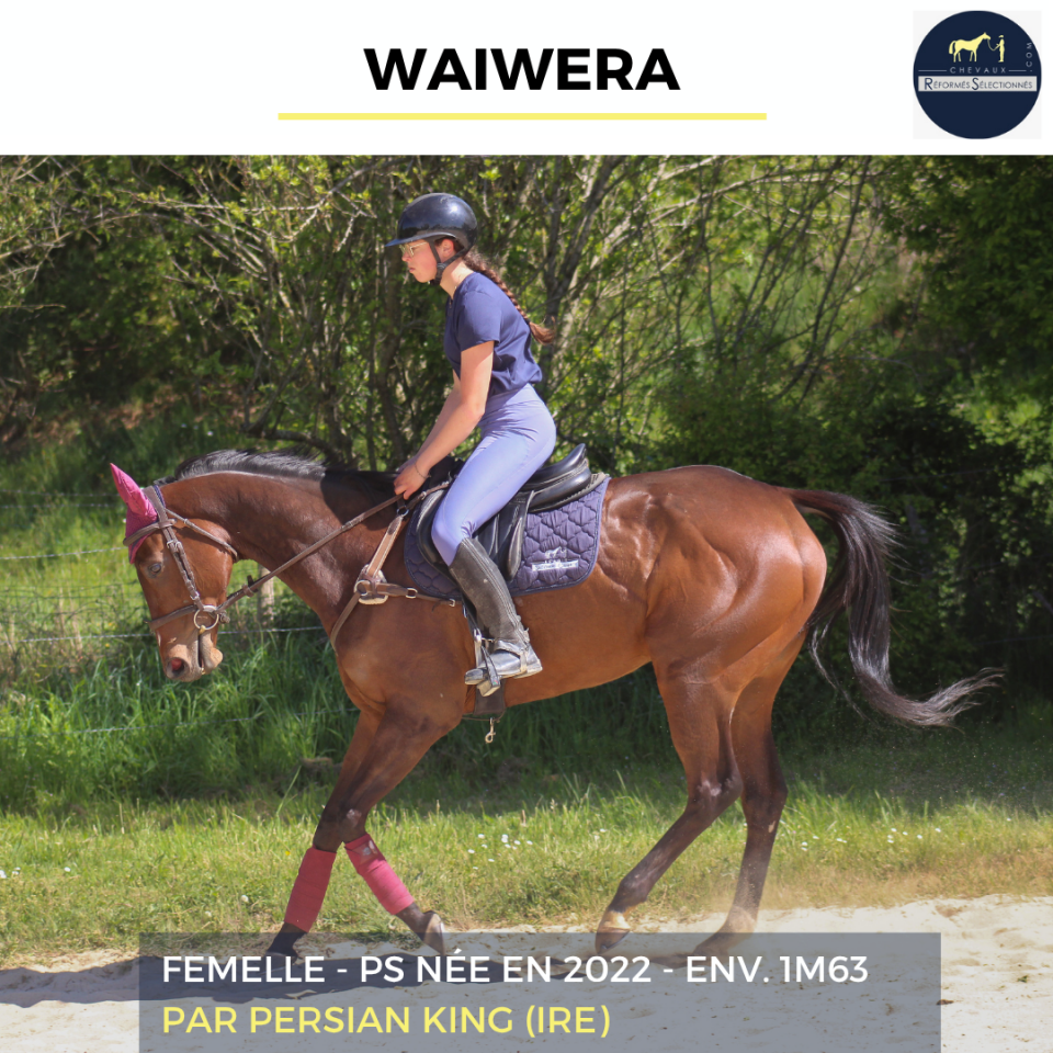 WAIWERA - PS - 4 ANS