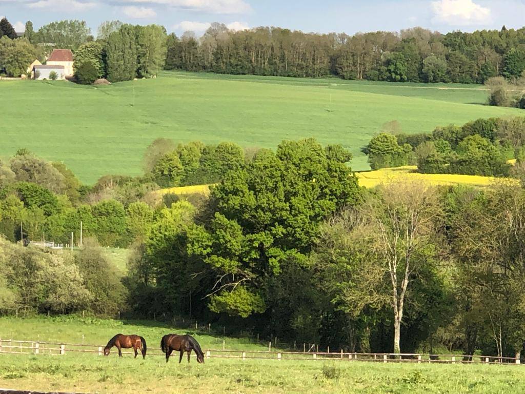 Propri&eacute;t&eacute; &eacute;questre de construction r&eacute;cente 