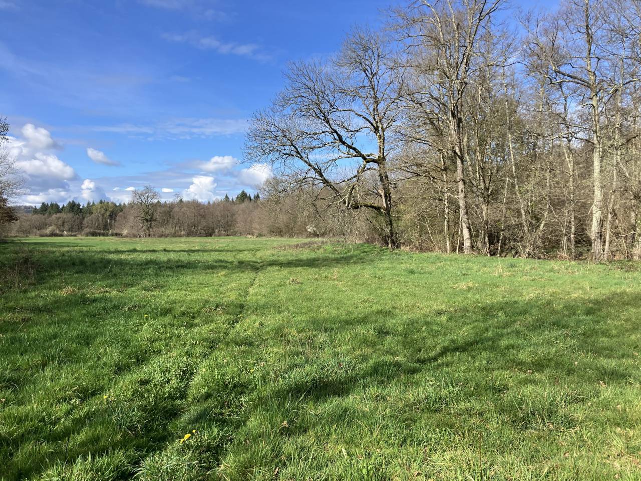 Centre &eacute;questre &agrave; reprendre