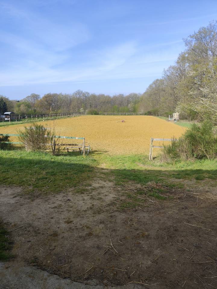 Vend petite structure &eacute;questre avec habitation 