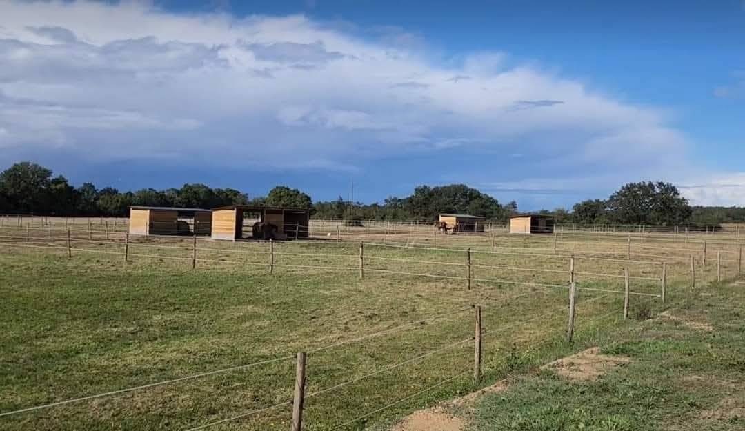 Maison 97 m2, 4,5 hectares