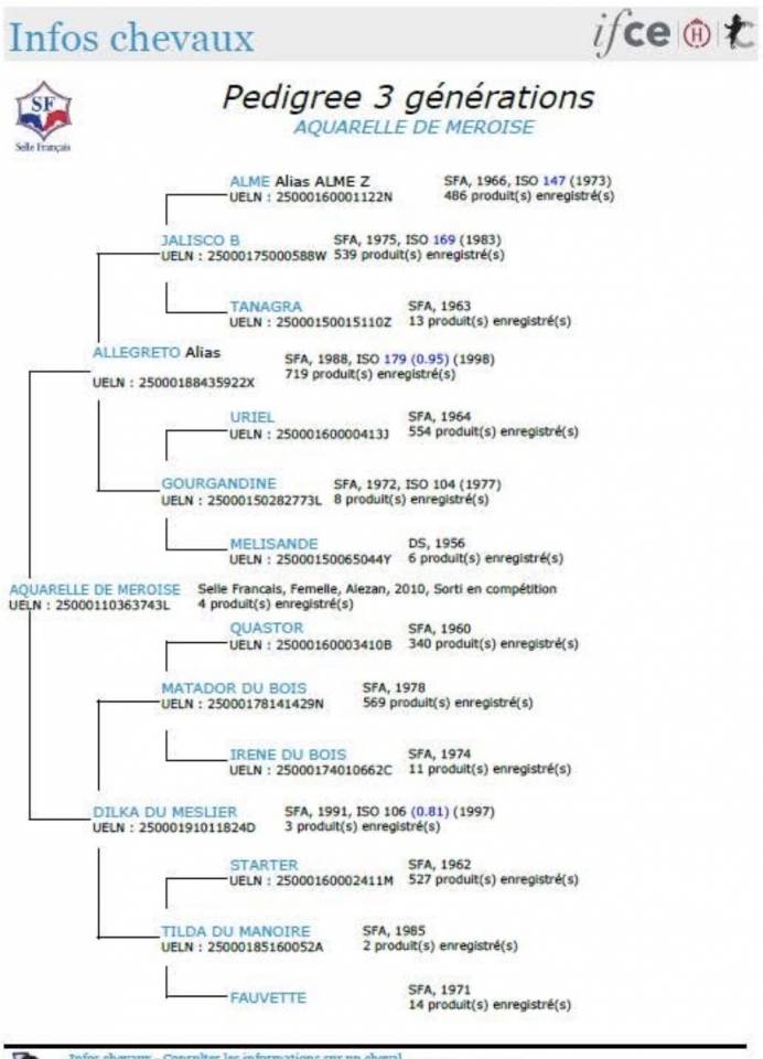 Jument poulini&egrave;re 