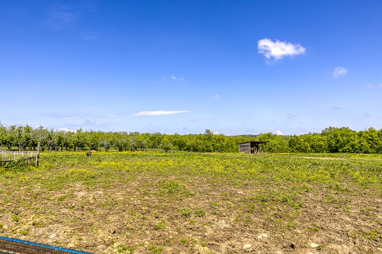 Propri&eacute;t&eacute; &eacute;questre aux multiples possibilit&eacute;s