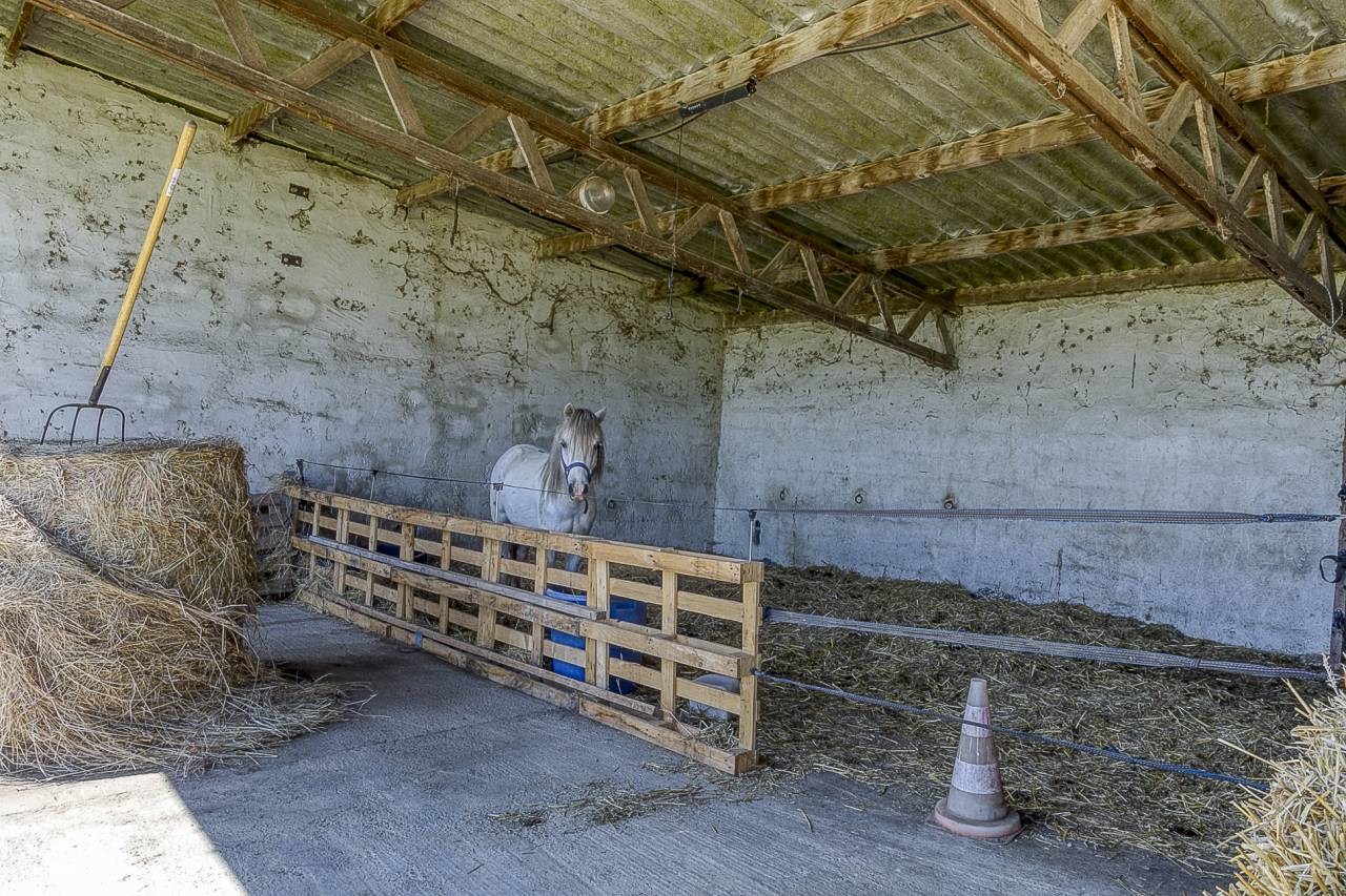 Propri&eacute;t&eacute; &eacute;questre aux multiples possibilit&eacute;s