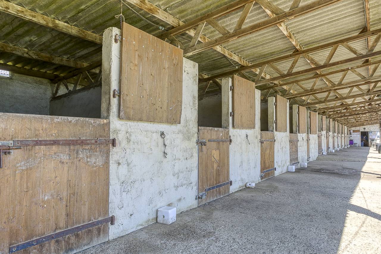 Propri&eacute;t&eacute; &eacute;questre aux multiples possibilit&eacute;s