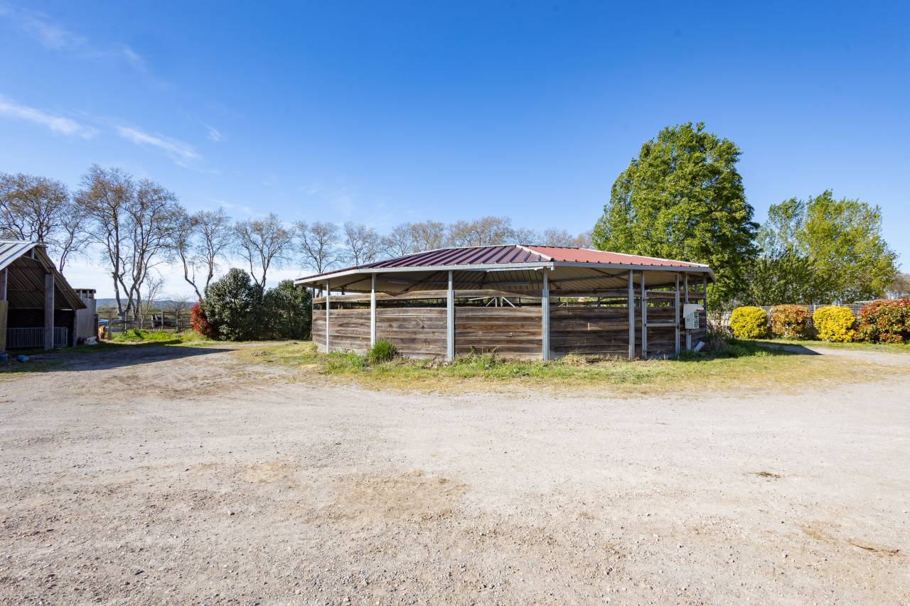 Ecurie &agrave; forte rentabilit&eacute; - Activit&eacute; de transit 