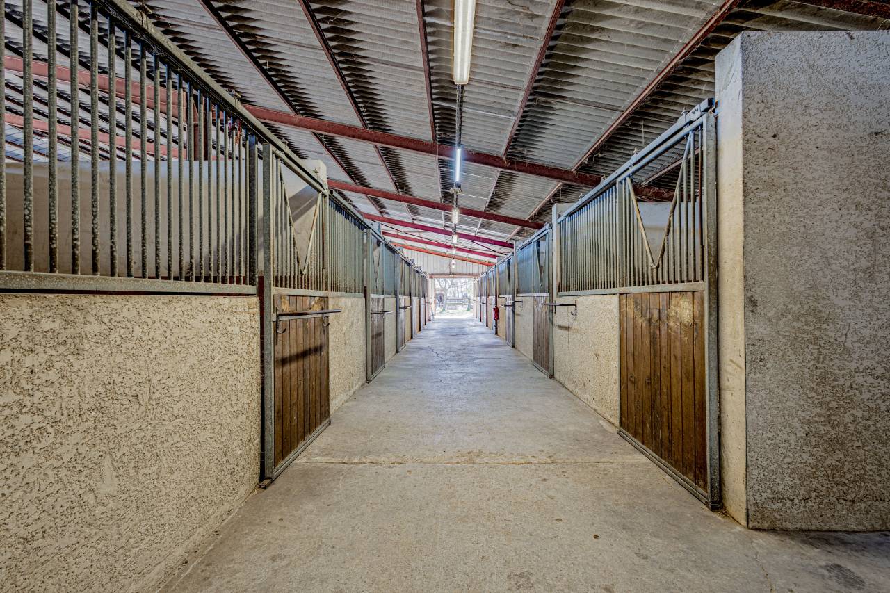 Ecurie &agrave; forte rentabilit&eacute; - Activit&eacute; de transit 