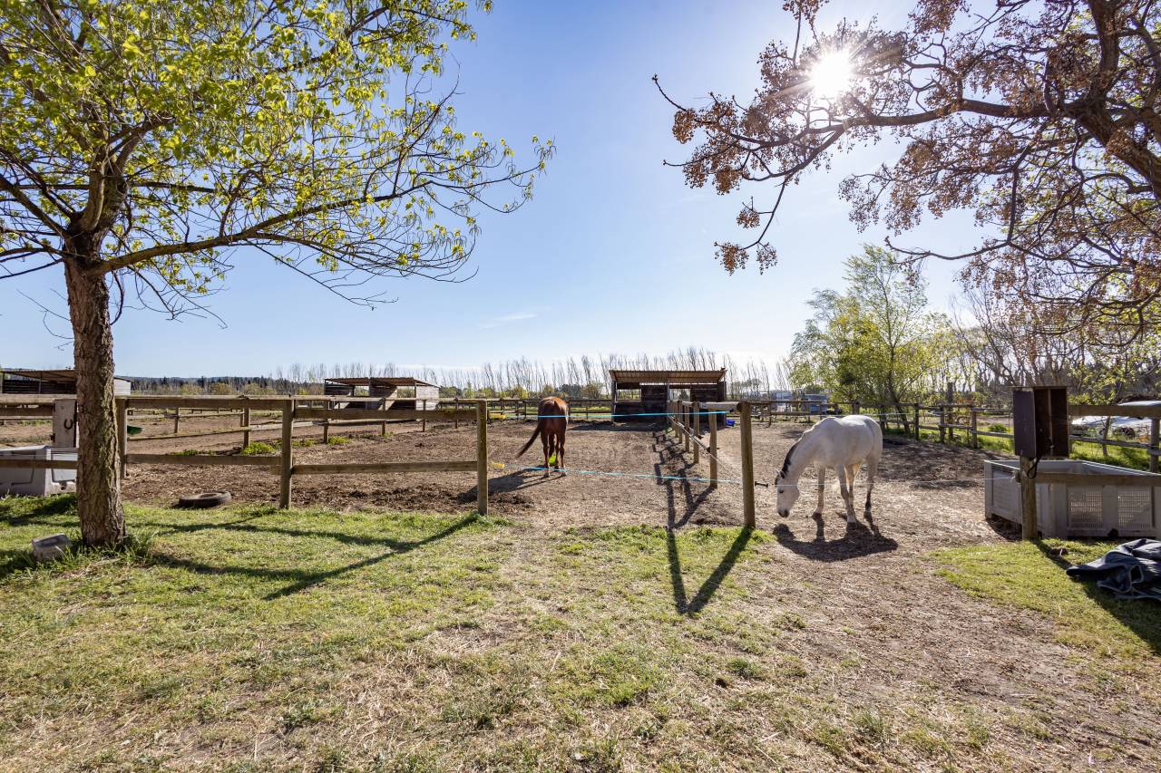 Ecurie &agrave; forte rentabilit&eacute; - Activit&eacute; de transit 