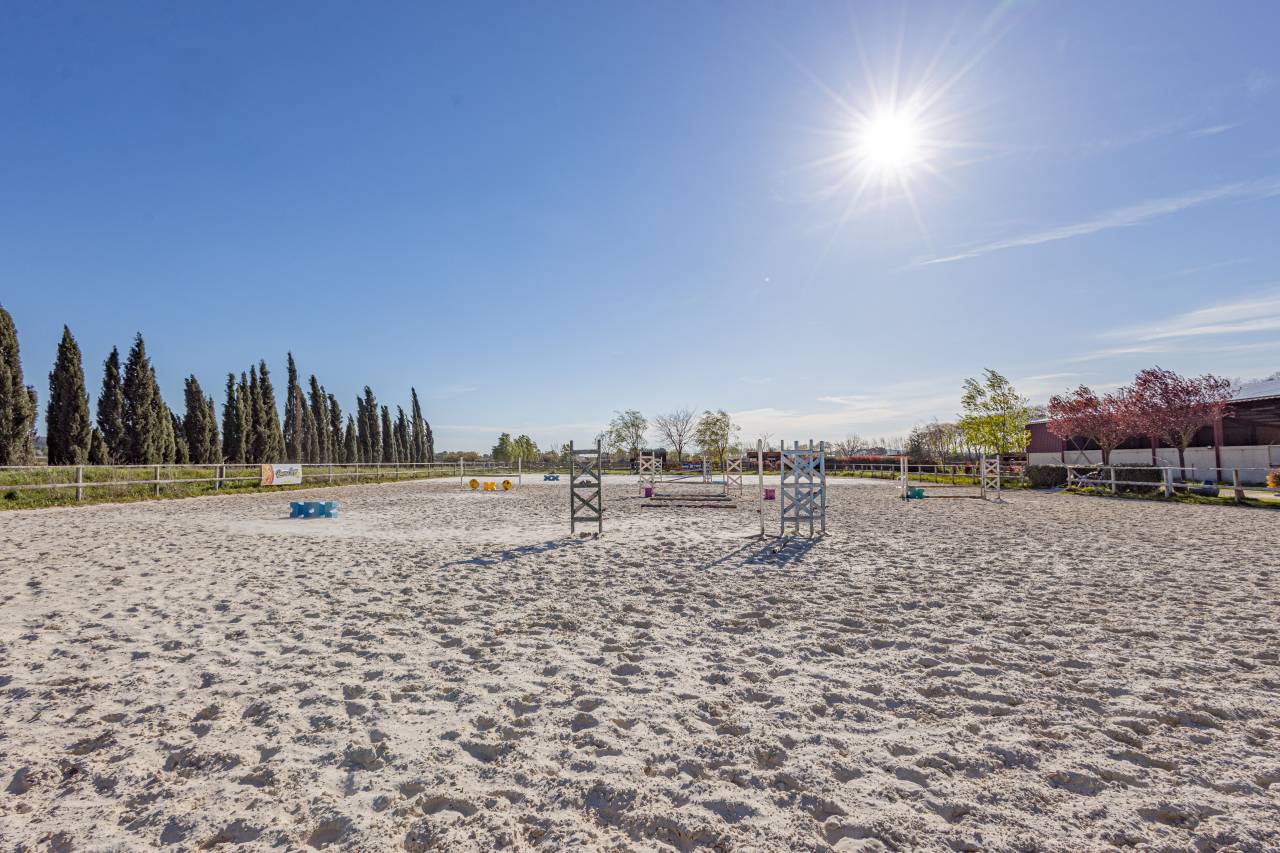 Ecurie &agrave; forte rentabilit&eacute; - Activit&eacute; de transit 