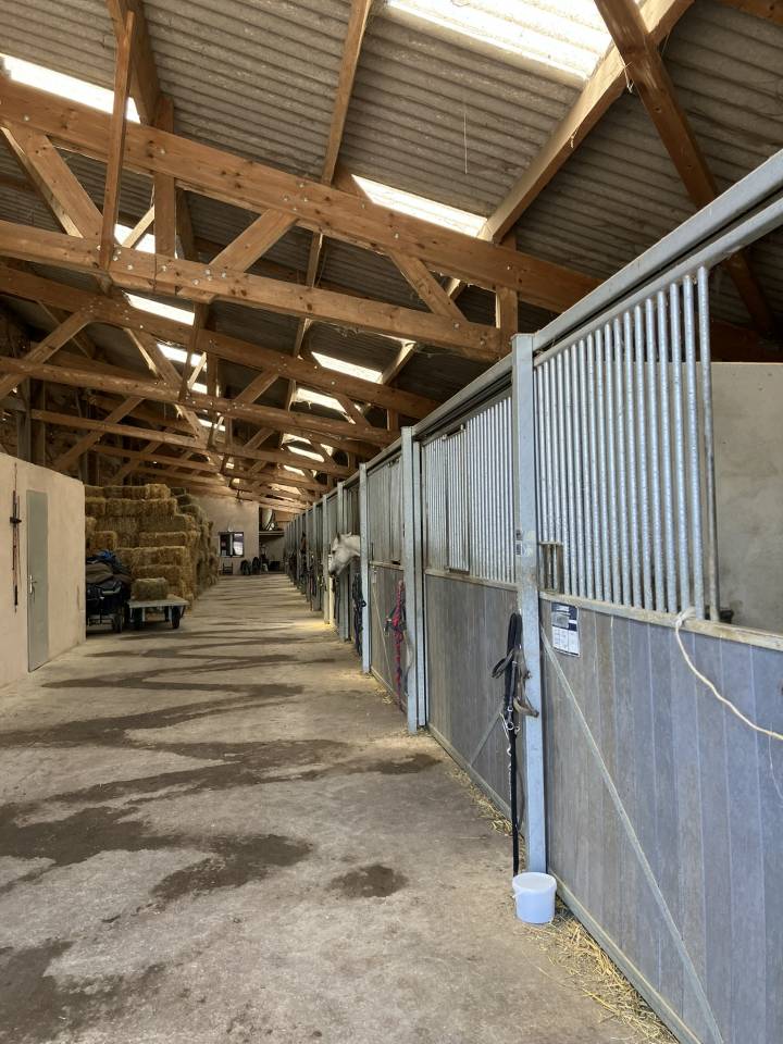 Ecurie d'&eacute;levage de valorisation de chevaux de sport