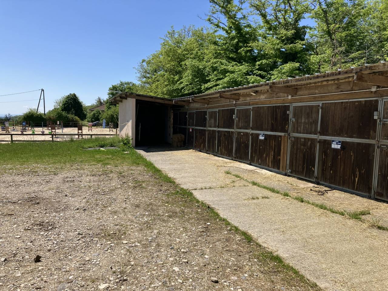 Ecurie d'&eacute;levage de valorisation de chevaux de sport