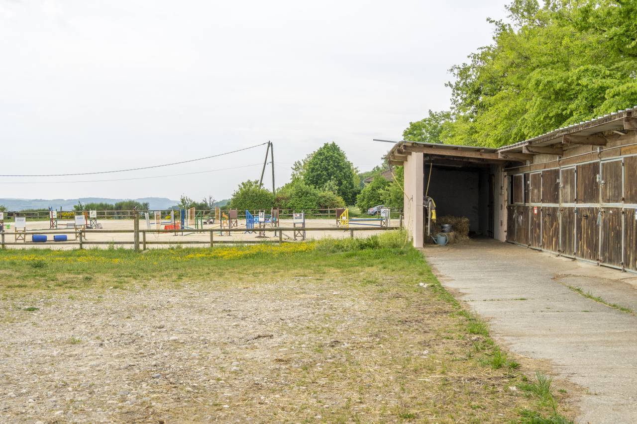 Ecurie d'&eacute;levage de valorisation de chevaux de sport