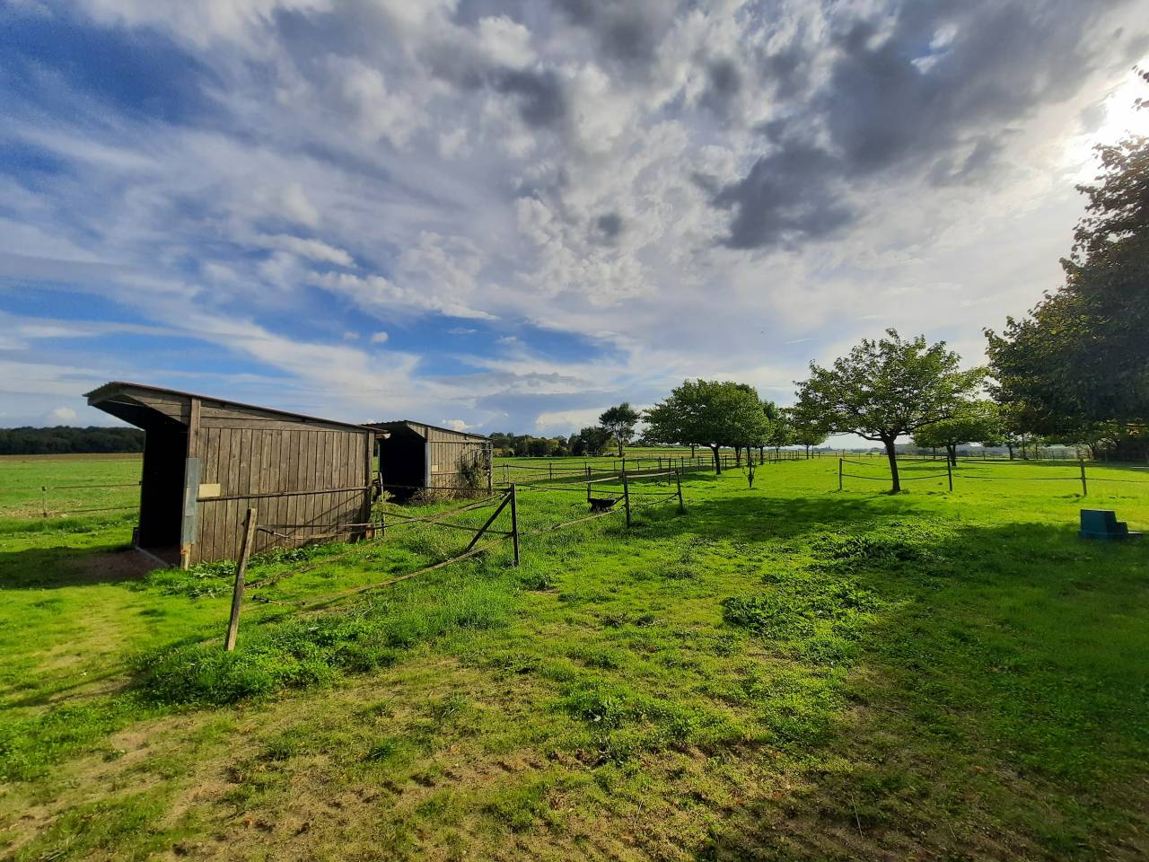 Propri&eacute;t&eacute; &eacute;questre de charme avec g&icirc;te - 15 mn de Royan
