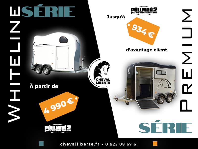 van à vendre belgique