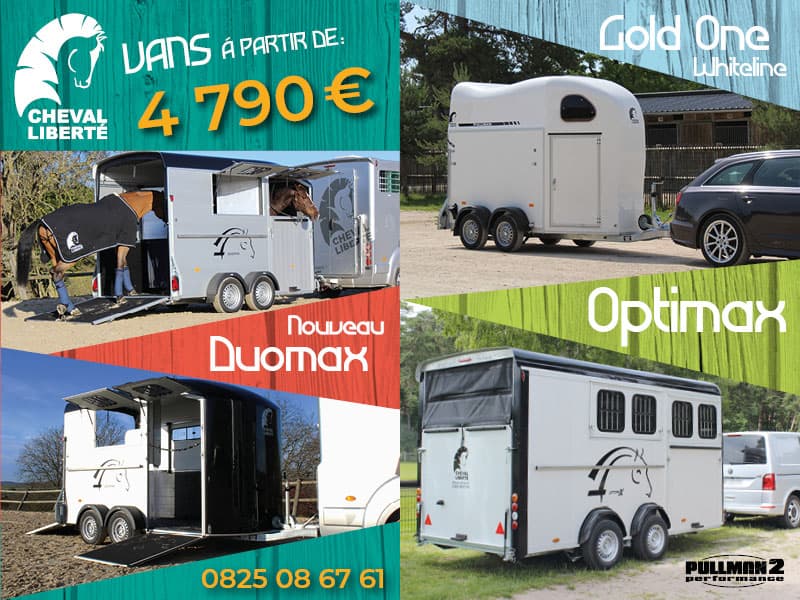 van chevaux occasion belgique